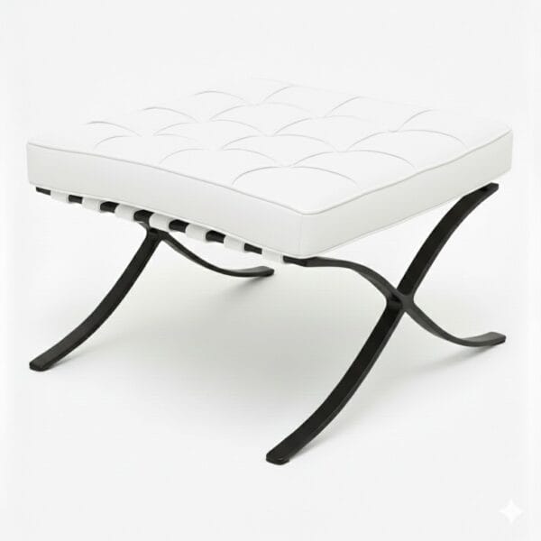 WhatsApp Image 2026 01 13 at 14.35.35