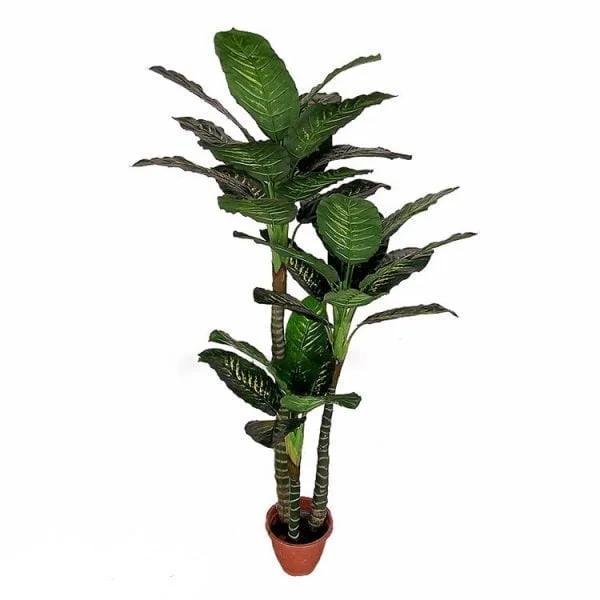 Planta Dieffenbachia Comigo Ninguem Pode Artificial 200cm