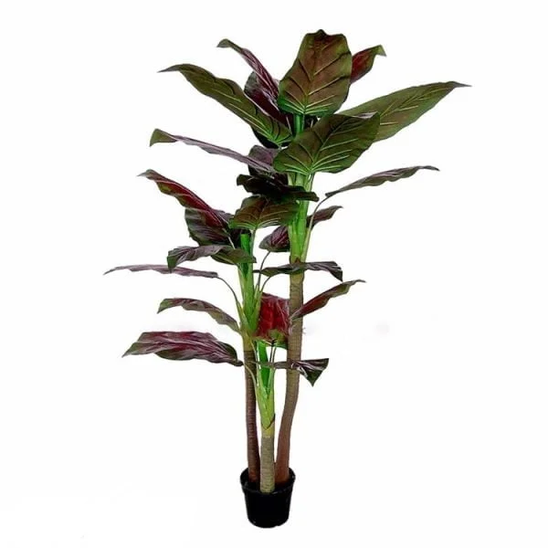 Planta Dieffenbachia Comigo Ninguem Pode Artificial 155cm