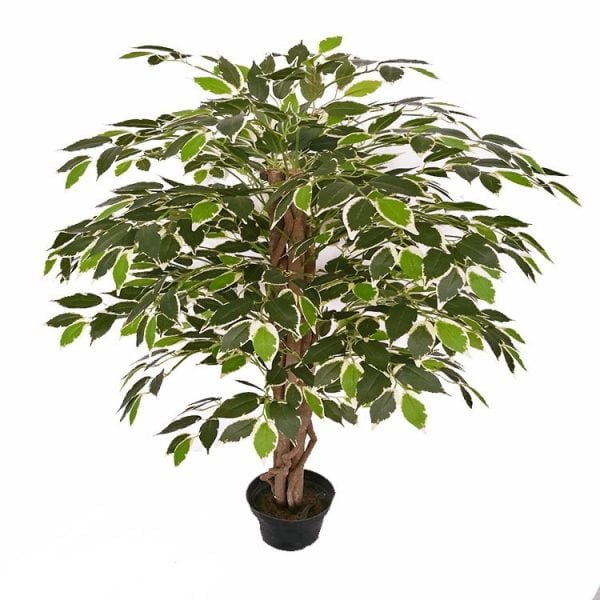 Planta Ficus Verde Creme Artificial 120cm