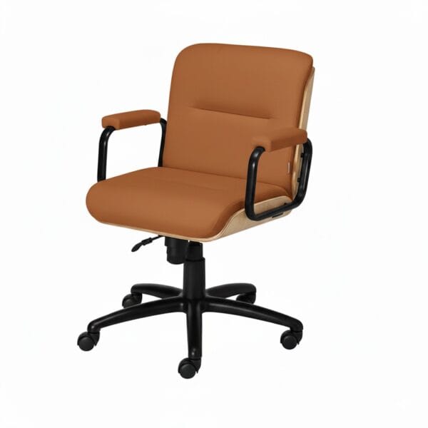 WhatsApp Image 2026 01 12 at 14.25.11